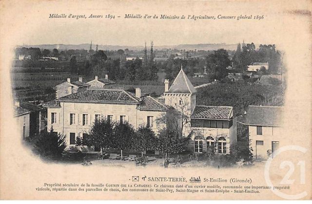 maison à vendre - 18 pièces - 660.0 m2 - STE TERRE - 33 - AQUITAINE - Century 21 G&B Immobilier